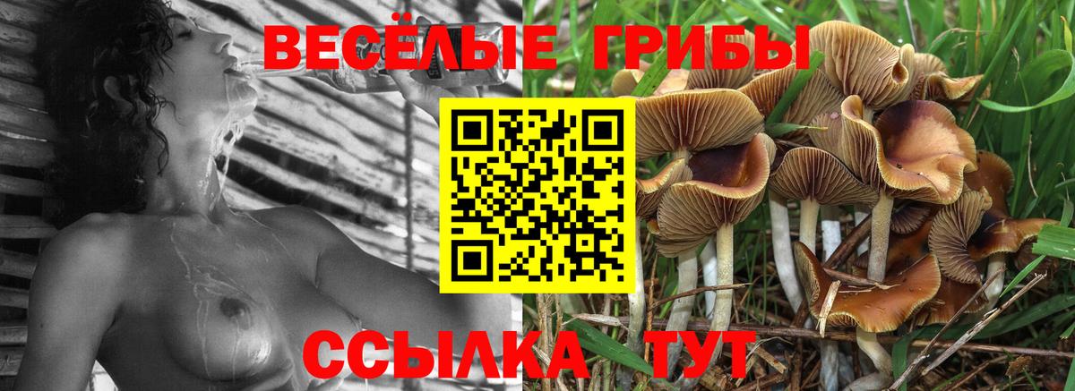 Галлюциногенные грибы ЛСД  Вход с VPN  Губаха 